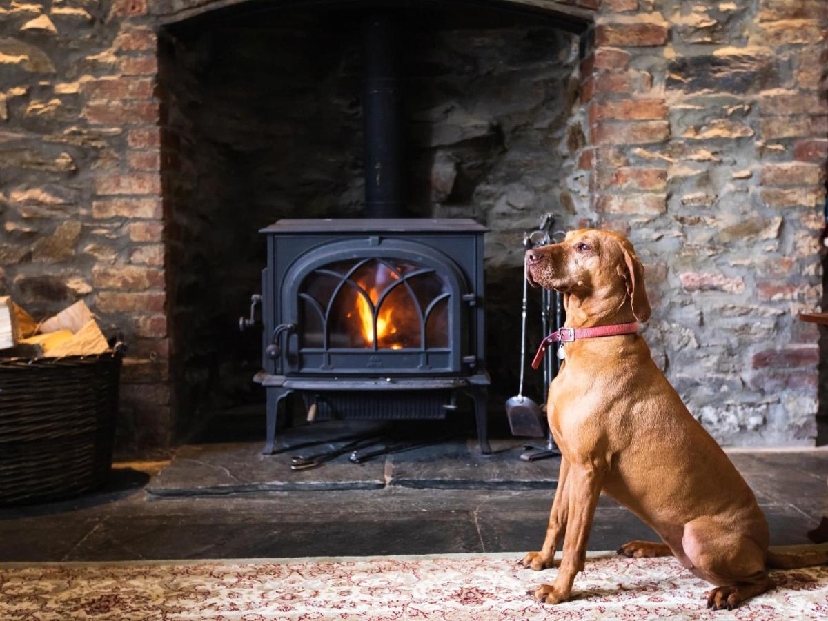 Pengelly Farmhouse B&B Truro Dış mekan fotoğraf